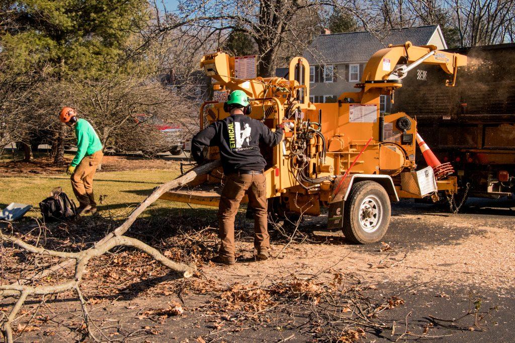 Ethical Tree Services Storm Damage Cleanup