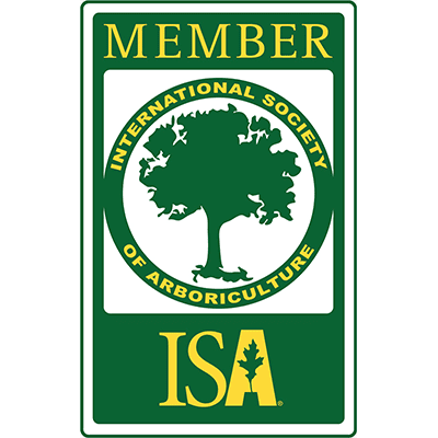 isa-member